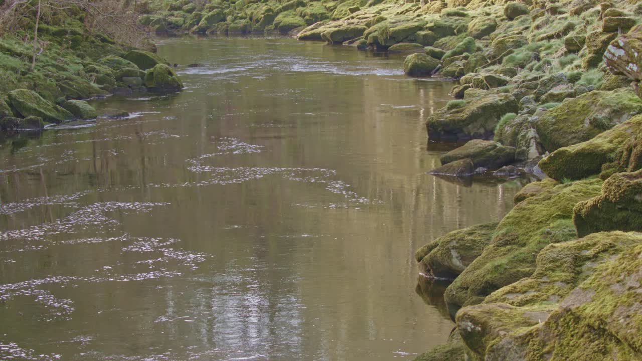 River Wharfe running calmly with rocky embankment, Bolto Abbey, North Yorkshire, $k 25fps