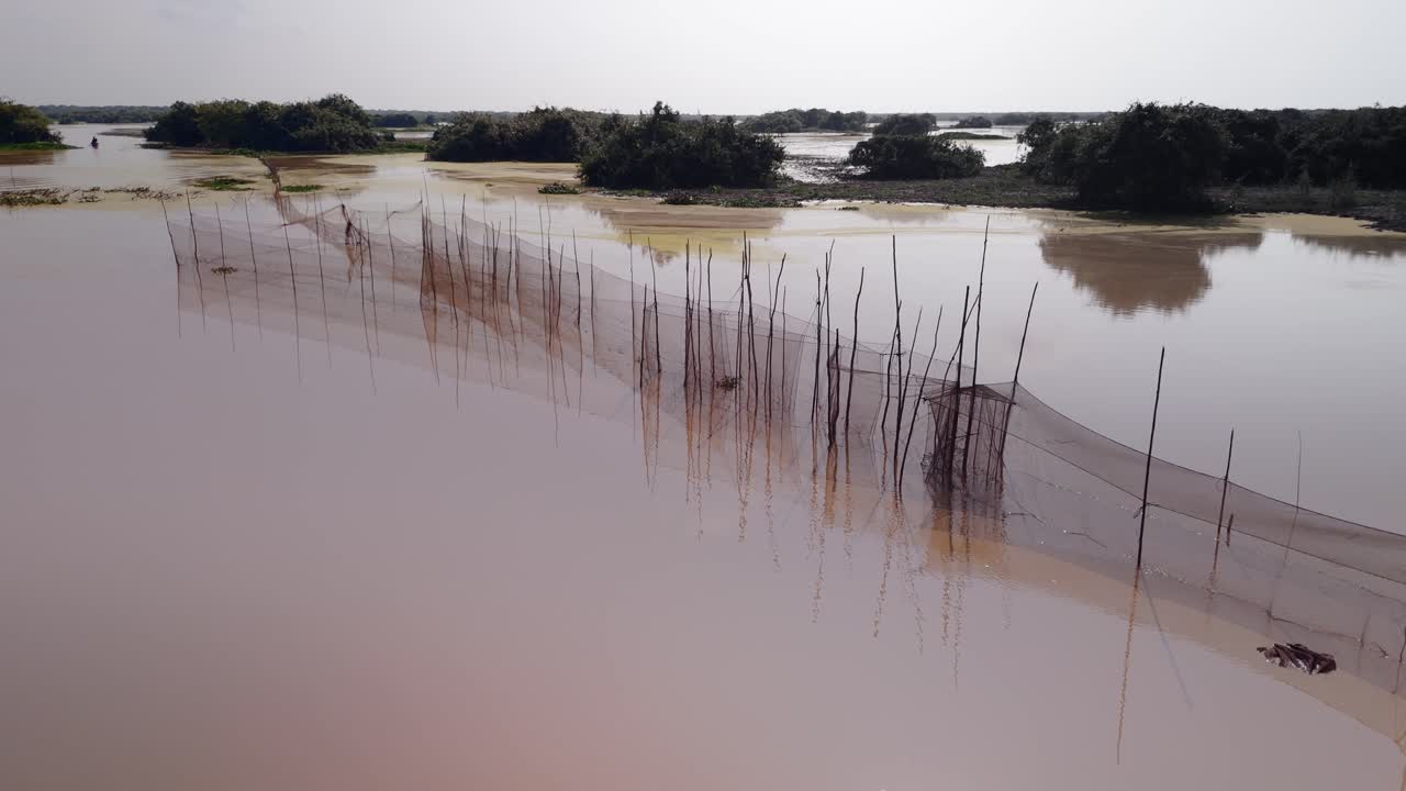 Costruzione di trappole da pesca a rete nelle calme acque fangose lungo la riva del Tonle Sap, Cambogia