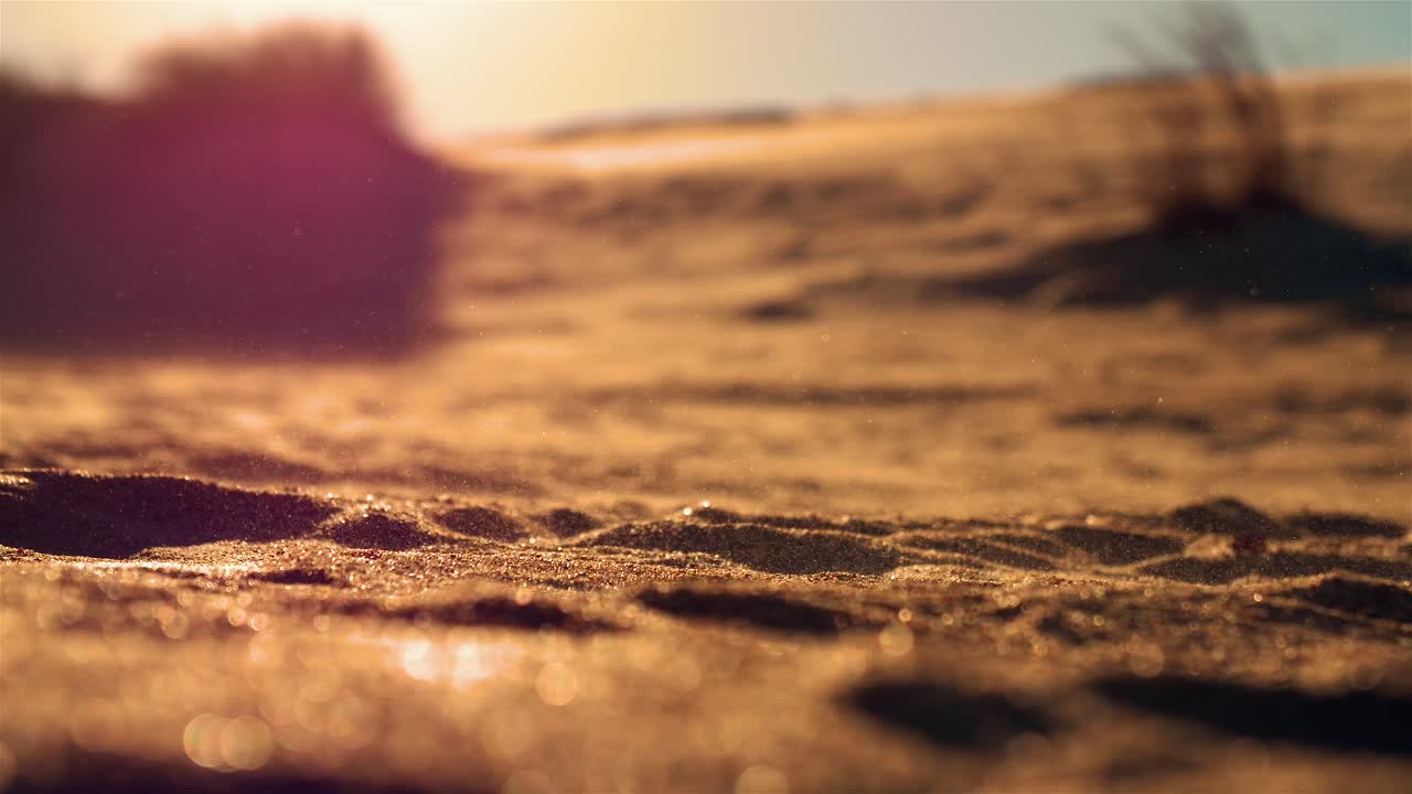 obx 모래 언덕 클로즈업 일몰 황금 시간 uhd 60fps