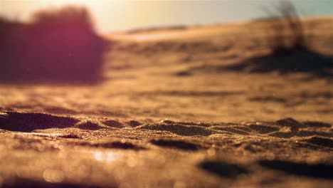 obx dune sand close up sunset golden hour uhd 60fps