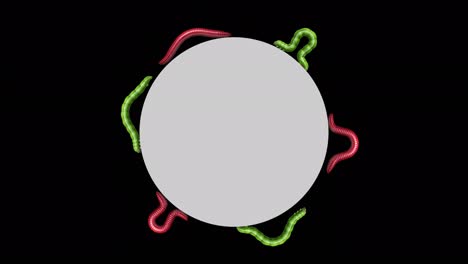 orugas y gusanos en círculo gris, animación en bucle 3d