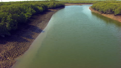 Paso-Bajo-Sobre-El-Agua-Del-Lago-Cubierto-Por-El-Gran-Bosque-De-Manglares