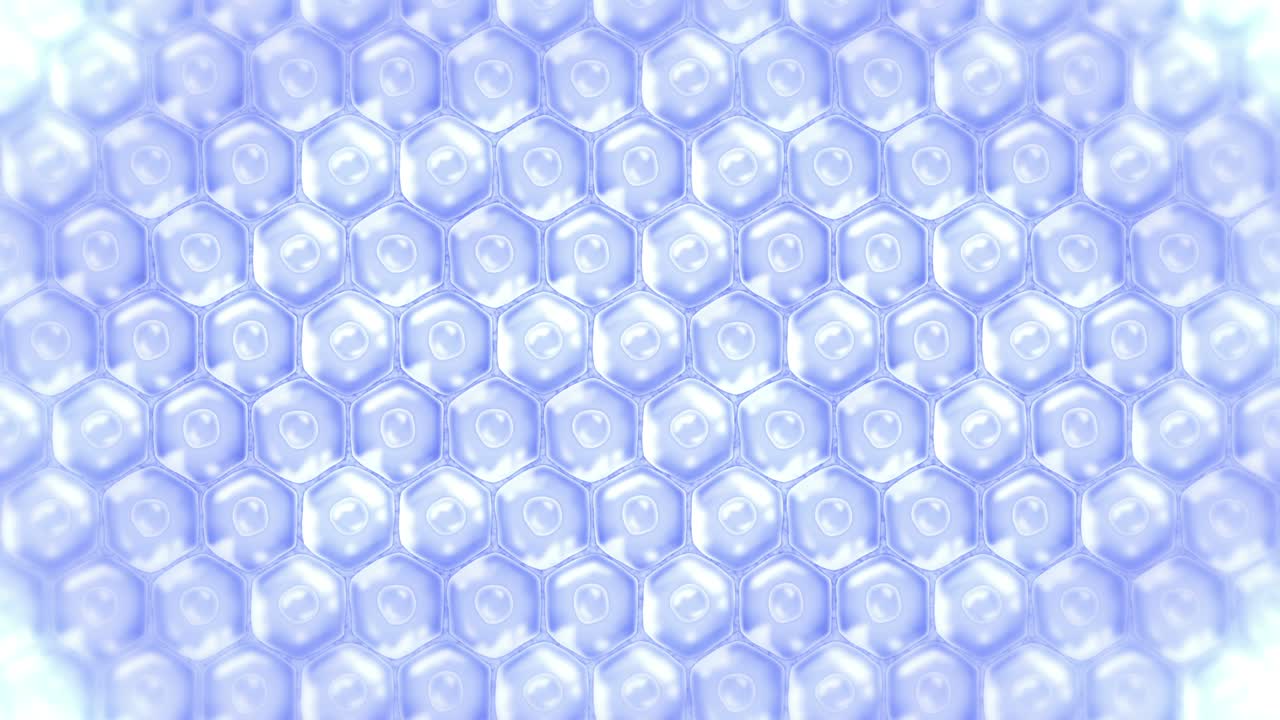 인간 피부 세포: 세포막을 가진 각 세포, 세포 치료, 질병 치료, 핵과 진공, 재생, 루프 애니메이션