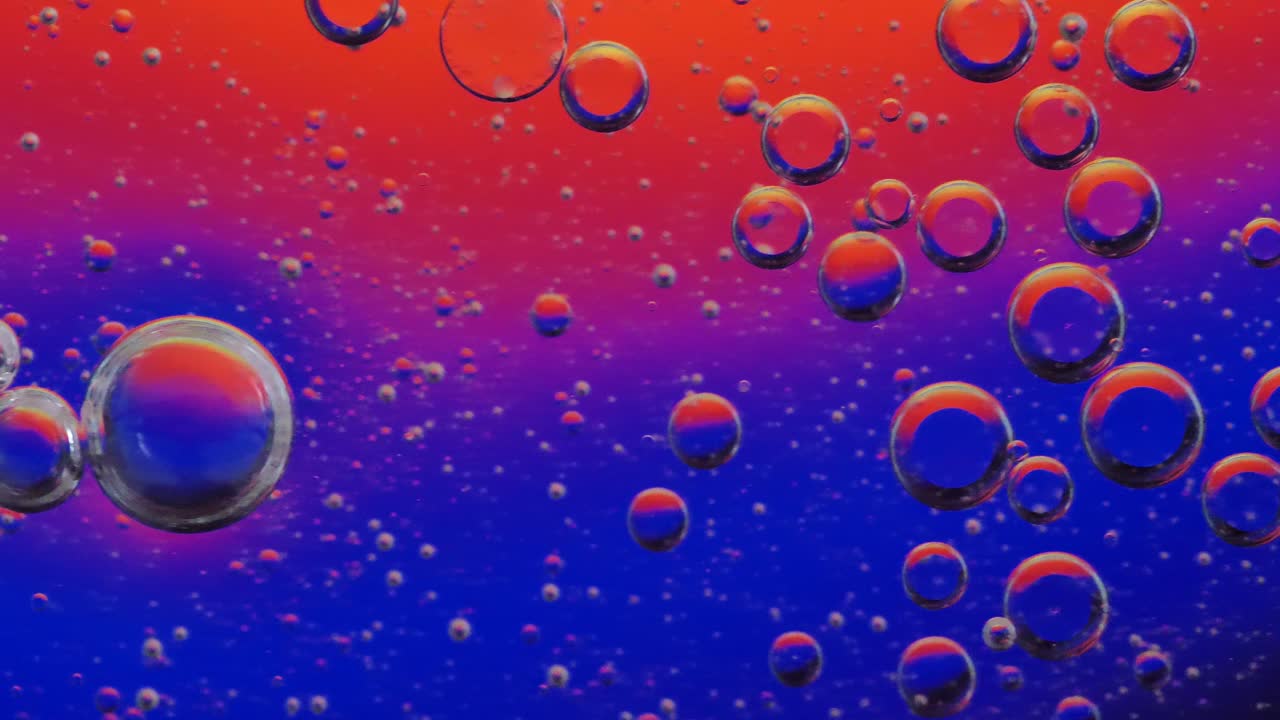 OL bubbles swim on the surface of water and are illuminated from behind with changing light