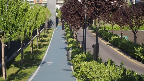 a man walks along a bike path in a city park.