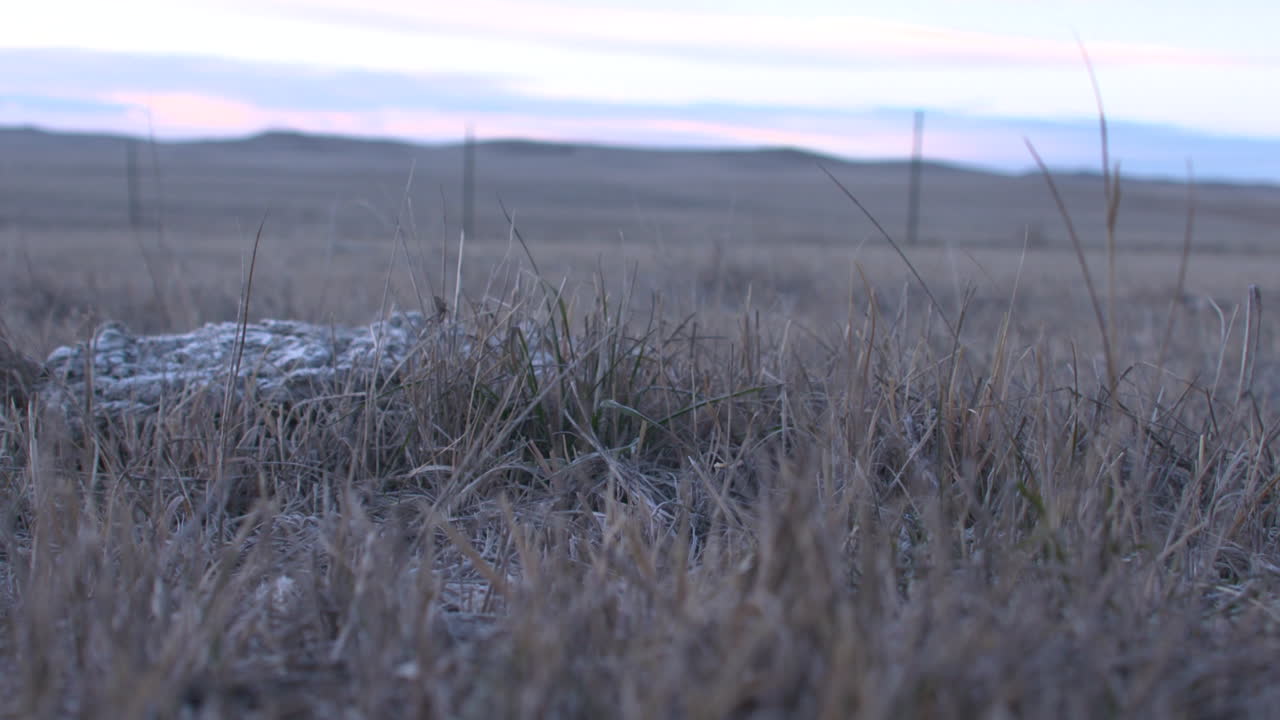 Grassland Landscape and Boots