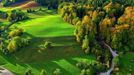 aerial drone top down shot over green grasslands along rural countryside on the hills during morning time