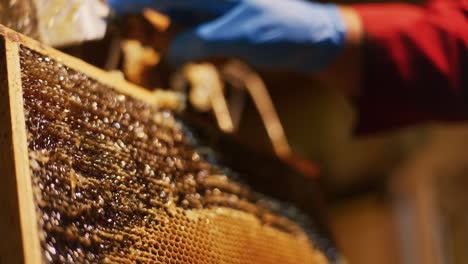 the beekeeper strips wax and produces honey