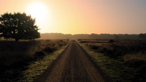 aerial low flying above path leading into horizon during golden yellow orange sunset skies