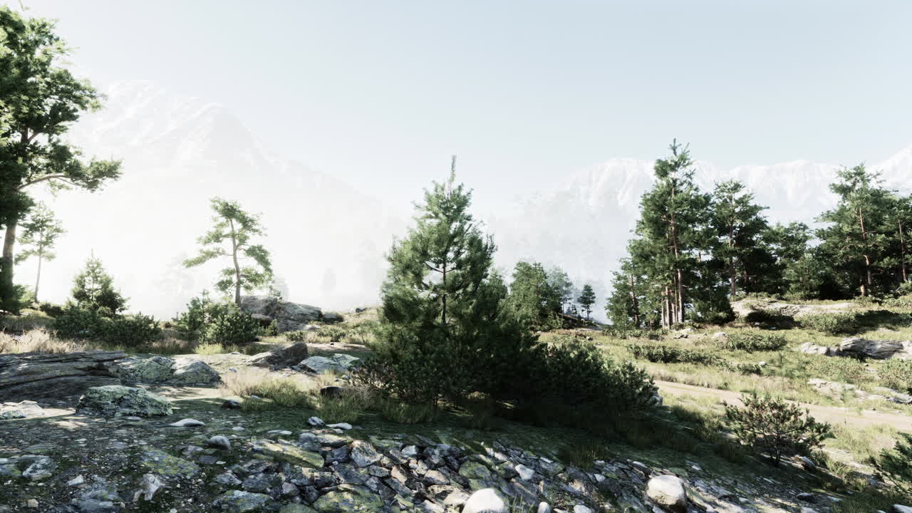 안개가 가득한 산림 풍경