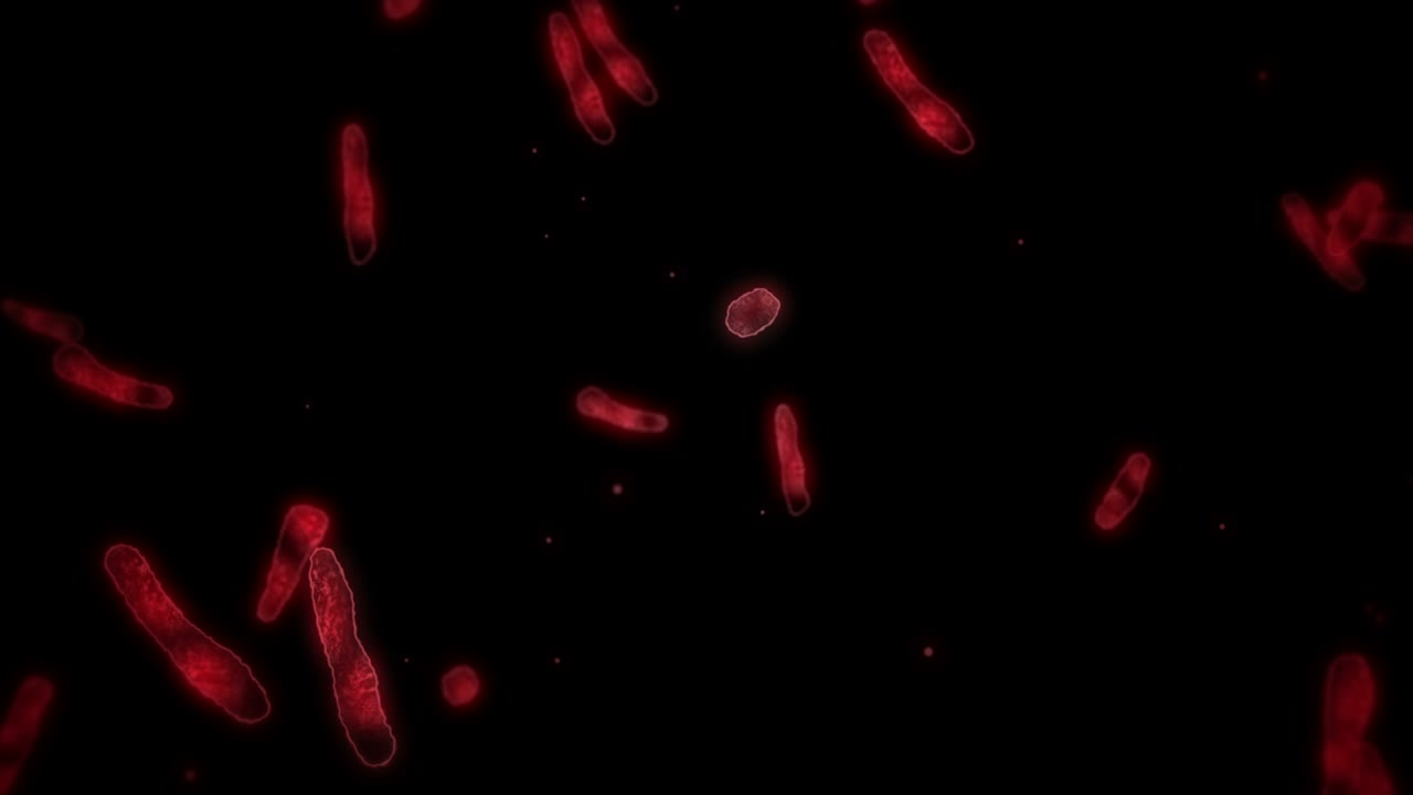 virus de célula en forma lineal. virus patógenos que causan infección. animación en bucle de virus humanos. microorganismo bacteriano. brote de enfermedad viral.
