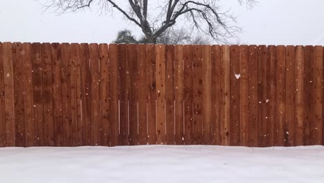 雪慢慢地落在圍<unk>和核桃樹上