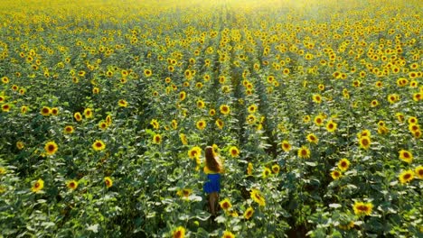girl walking through a sunflower field