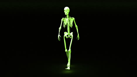 walking skeleton appears and becomes fully formed human