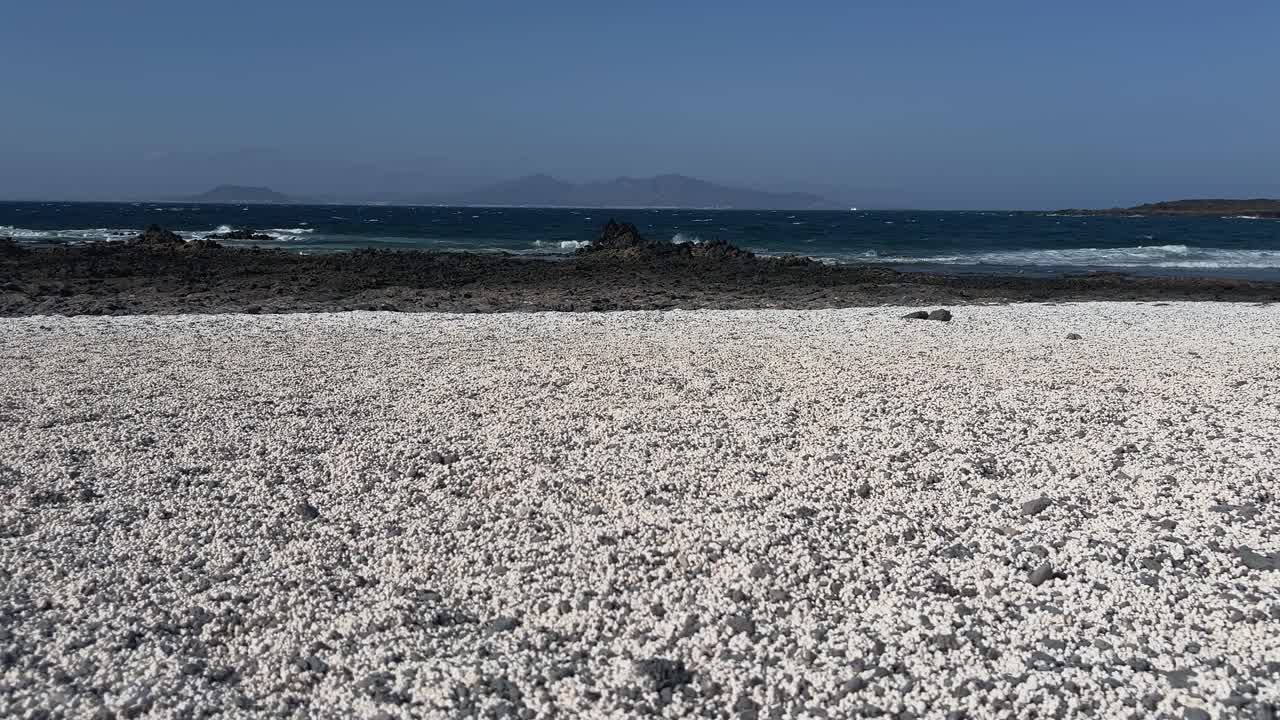 Medium shot of Popcorn Beach in Fuerteventura, showcasing texture of white rhodoliths that look like popcorn, with the ocean in the background. Spain