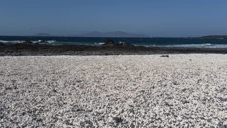 medium shot of popcorn beach in fuerteventura, showcasing texture of white rhodoliths that look like popcorn, with the ocean in the background. spain