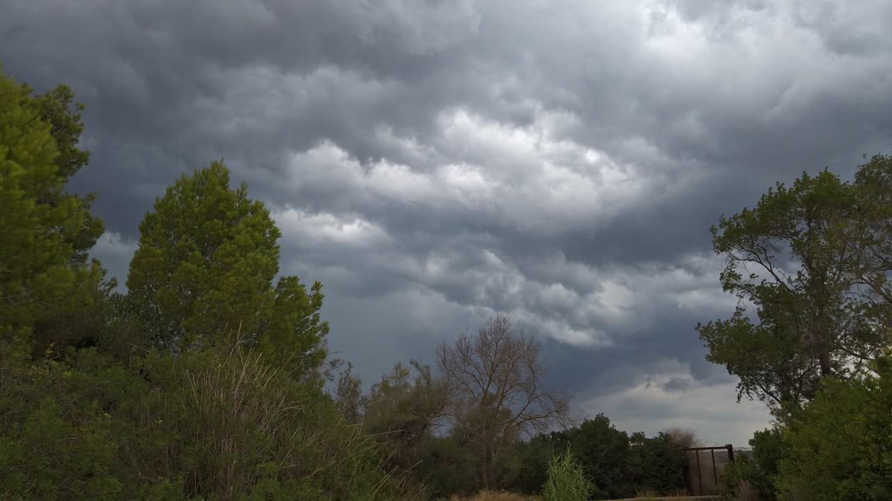 Dark grey storm clouds gathering menacingly over green trees and bushes, building dramatic tension with impending atmospheric pressure and ominous weather conditions