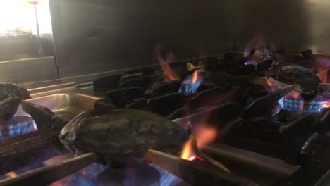 eggplants smoked on flames slow motion