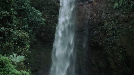 tilt up view of a waterfall in a rainforest