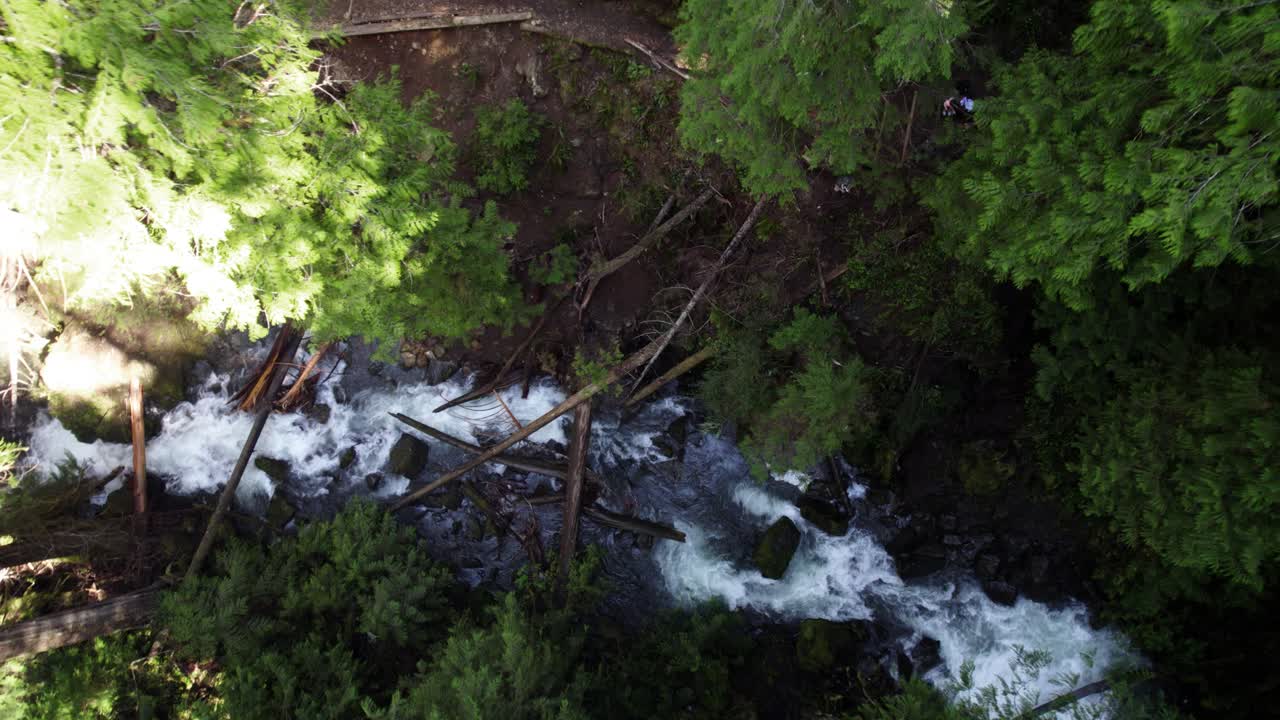 descendiendo lentamente en un exuberante dosel del bosque, un arroyo que fluye, la selva tropical de washington, una espiral aérea