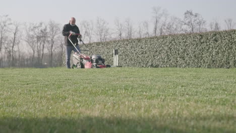 gardener man cuts the green lawn with lawn mower during a sunny day of spring - medium shot, out of focus