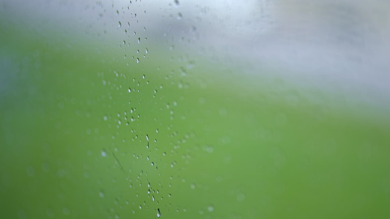 느린 동작 카메라가 비방울에 움직입니다.