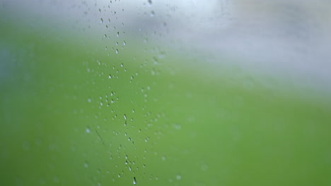 slow motion camera move on rain droplets