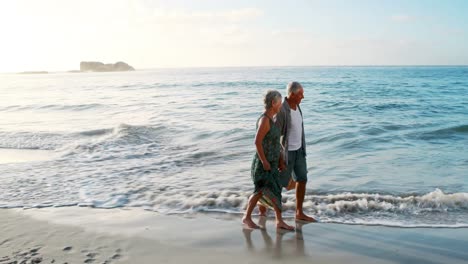 Retired-old-couple-holding-picnic-bag