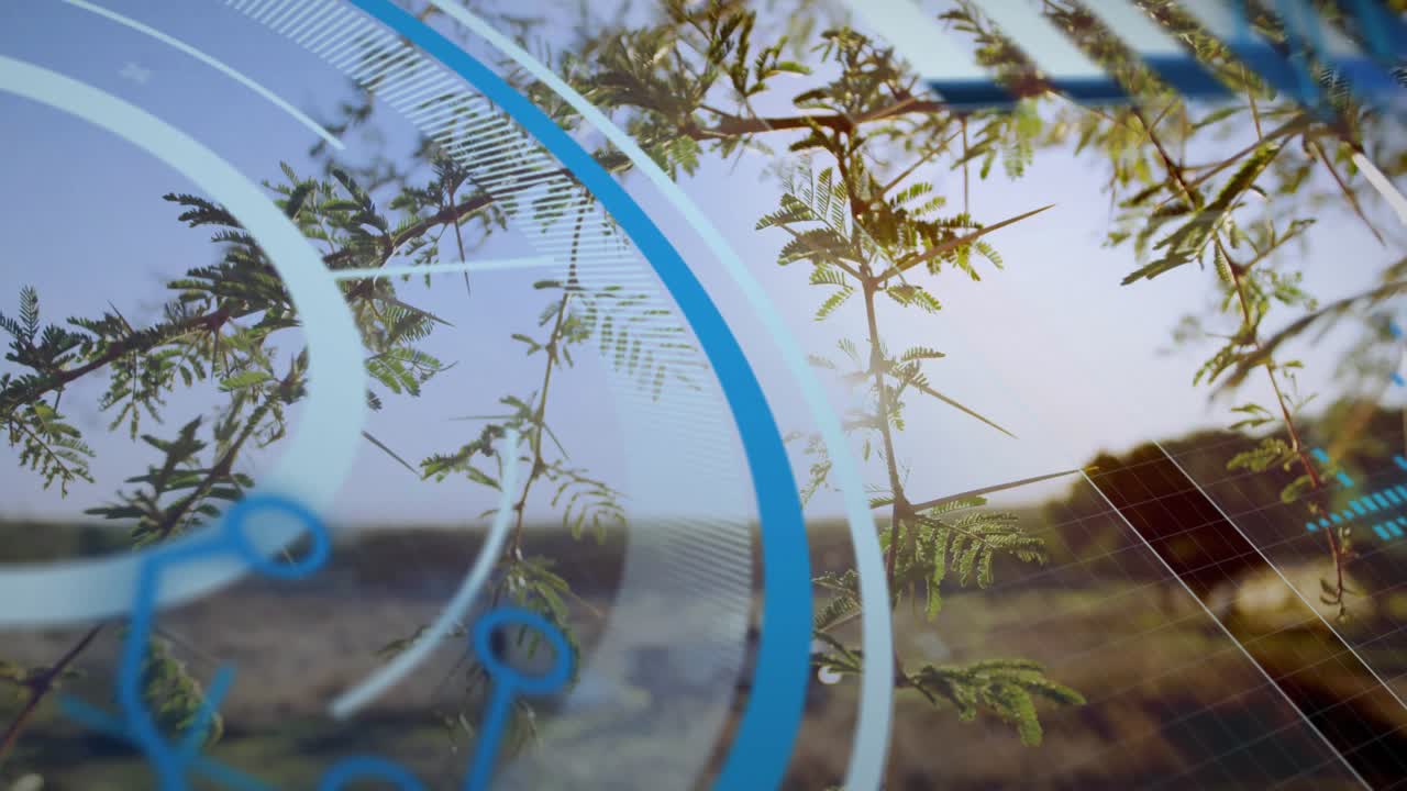 とげのある枝のクローズアップから3Dリングが成長し回転し始め、グリッドが出現しノードがインターフェースを形成している。
