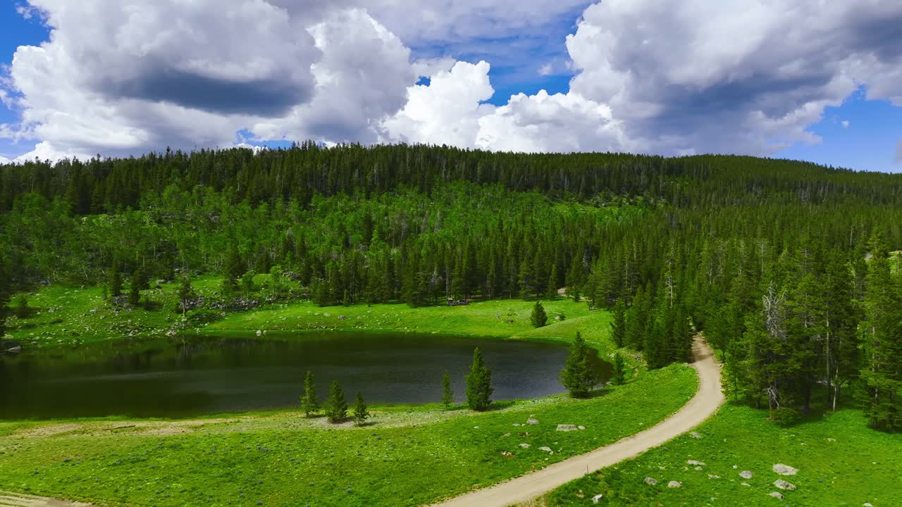 vista aérea de un hermoso lago rodeado de un exuberante bosque verde en wyoming durante el verano