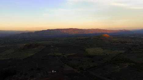 Agavenlandschaft-In-Jalisco,-Mexiko