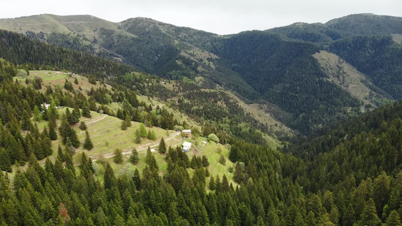 vista aérea de hermosas montañas verdes y bosques en los alpes en francia