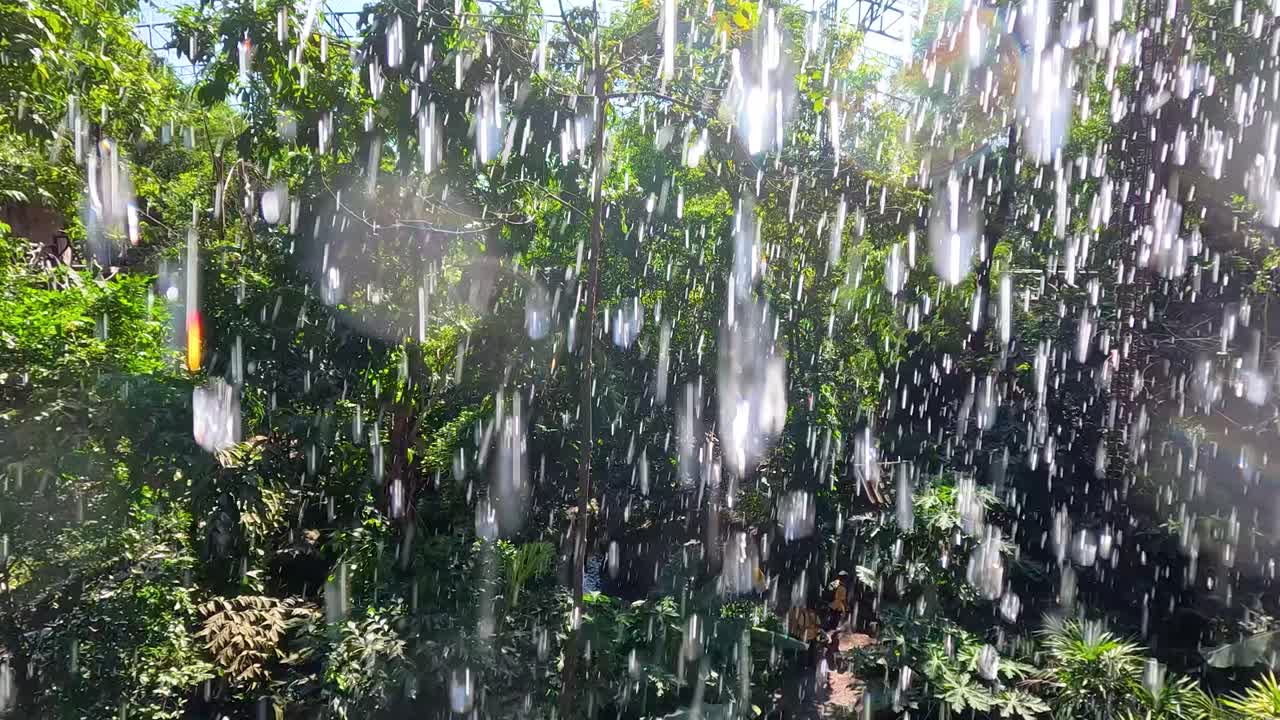 울창 한 초록색 환경 에서 폭포 가 아지는 것