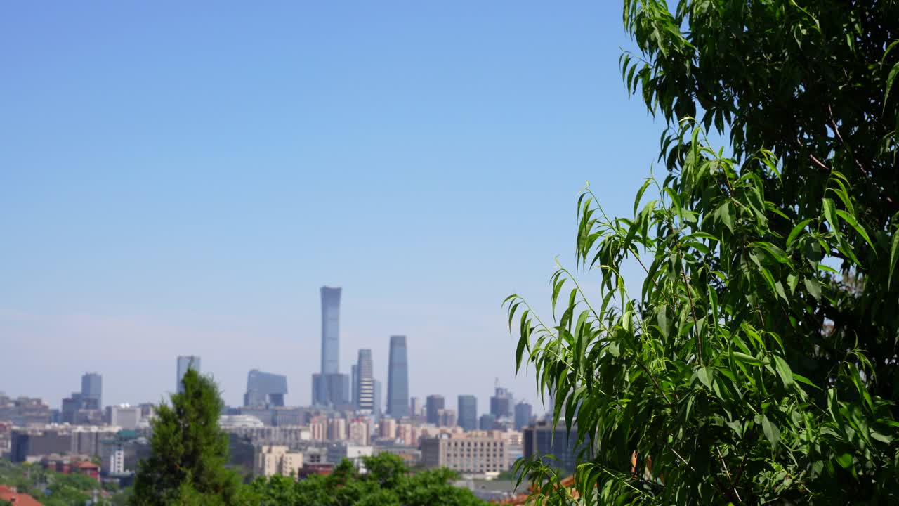 Beijing skyline seen from a Jingshan Park as a bird flies by during a sunny day