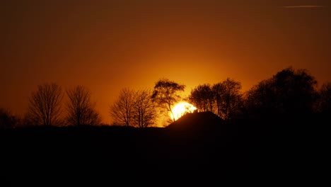 beautiful sunset over trees in the northern hemisphere