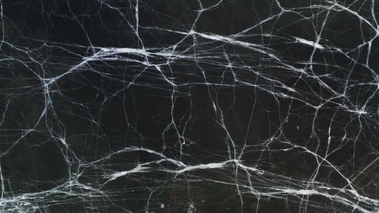 호수의 금이 간 얼음 표면의 추상선, 위에서 아래로