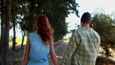 rear view of couple walking hand in hand 4k