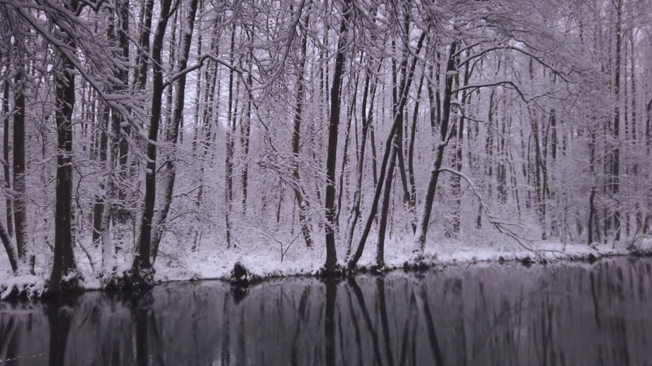 árboles de bosques nevados que se reflejan en el río frío del parque con nevadas suaves