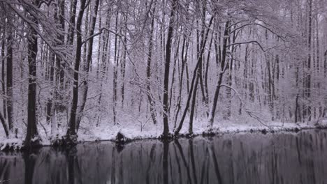 árboles-De-Bosques-Nevados-Que-Se-Reflejan-En-El-Río-Frío-Del-Parque-Con-Nevadas-Suaves