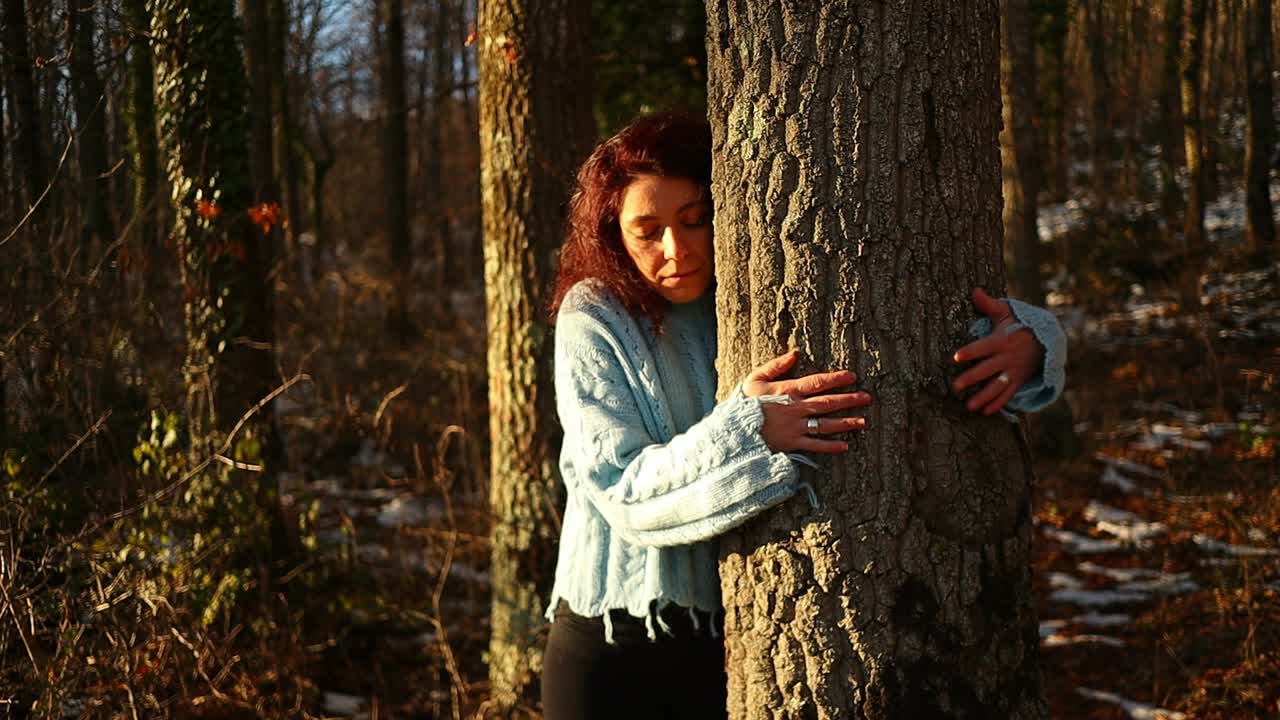 junges kaukasisches mädchen mit roten haaren umarmt einen baum im wald bei sonnenuntergang, nahaufnahme, mutter-natur-liebeskonzept