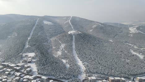 Aerial-View-Historical-Castle-On-The-Hill