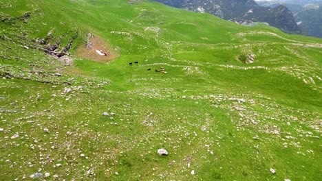 Wild-Remote-Landscape-Pastures,-Montenegro-Durmitor,-Aerial-Panorama