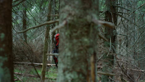 Hiker-walking-between-trees-in-summer-forest.-Redhead-man-trekking-woods