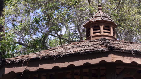 The-wind-is-blowing-over-a-Gazebo's-roof-in-the-middle-of-the-woods-with-pine-trees-and-needles