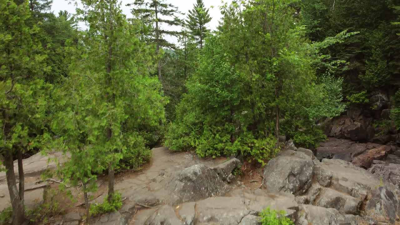 dolly aéreo hacia árboles con el río oxtongue que fluye hacia el parque algonquin en ontario