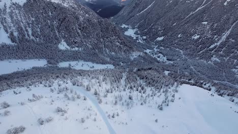 Drone-aerial-view-of-a-vast-snow-covered-mountainous-valley-with-winding-trails-and-dense-forests