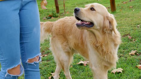 mujer jugando con su perro en el rancho 4k
