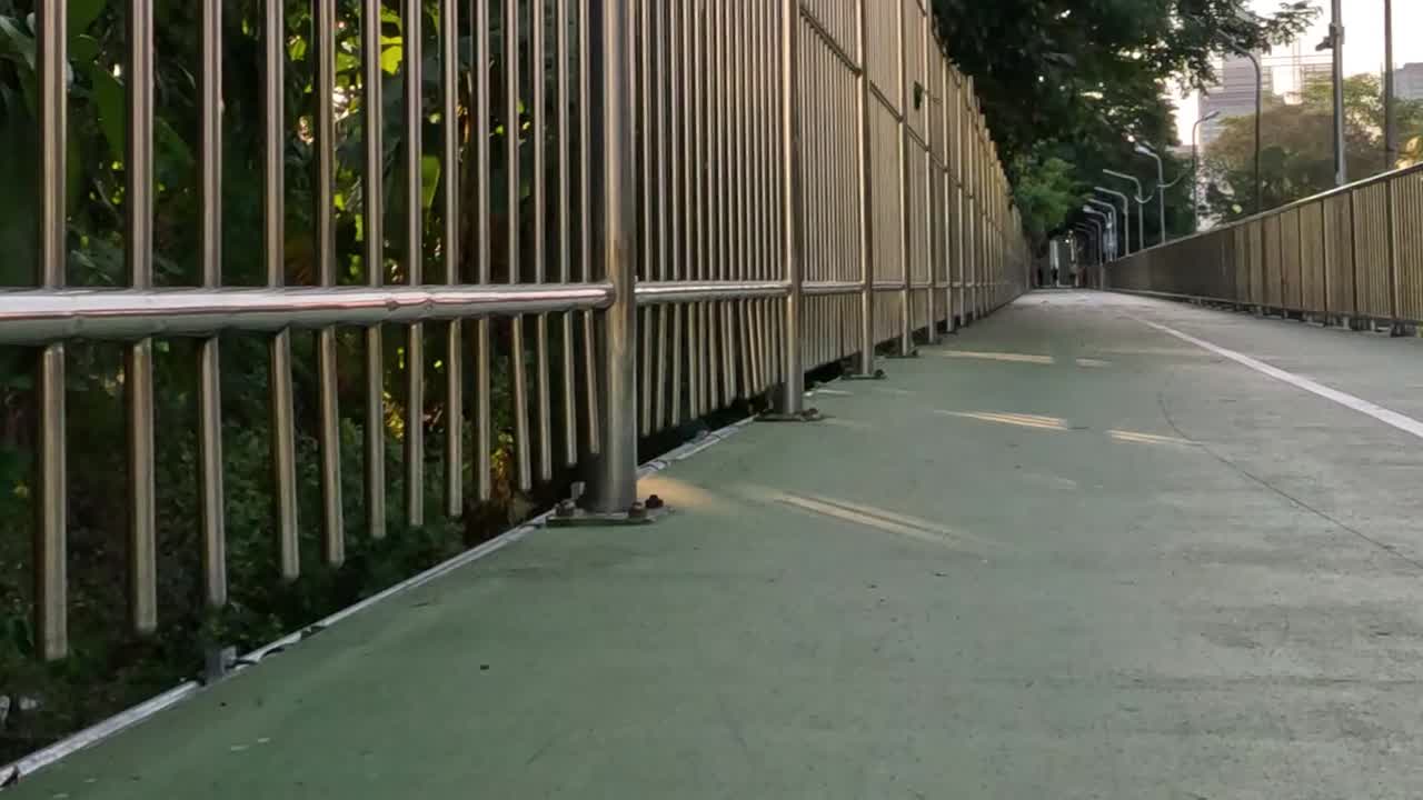 A dog in a red harness walks along a fenced green pathway surrounded by lush greenery.