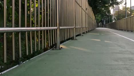a dog in a red harness walks along a fenced green pathway surrounded by lush greenery.