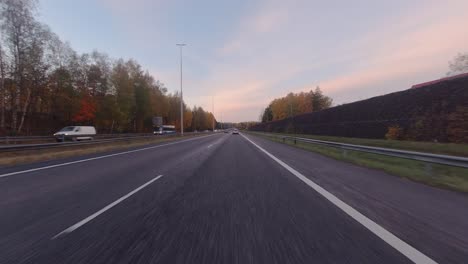 driving pov: autumn leaves on trees line highway on morning commute